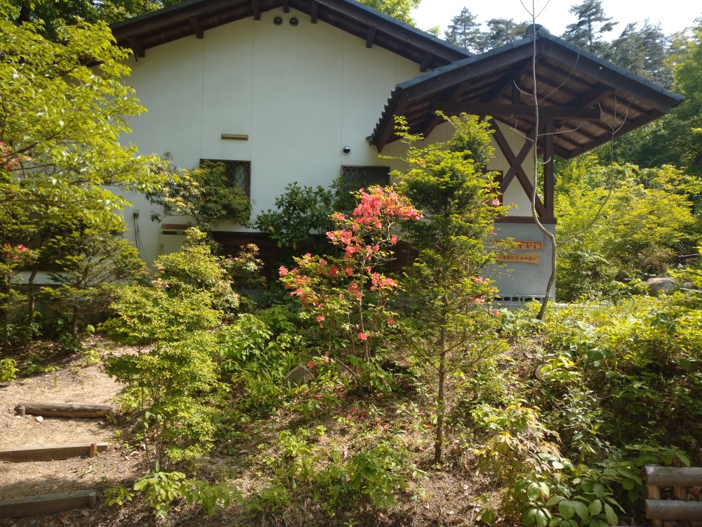 心はずむ季節がやってきました 公式 時しずか